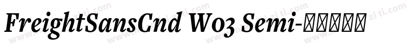 FreightSansCnd W03 Semi字体转换